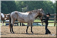 4H-1st-Show-2004-0330.jpg