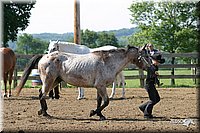 4H-1st-Show-2004-0331.jpg