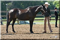 4H-1st-Show-2004-0342.jpg