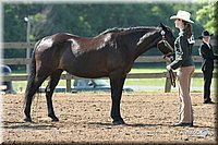 4H-1st-Show-2004-0343.jpg