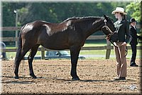 4H-1st-Show-2004-0344.jpg