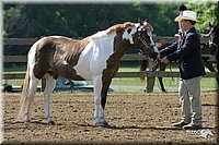 4H-1st-Show-2004-0348.jpg