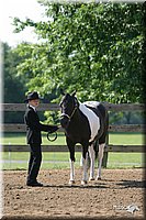 4H-1st-Show-2004-0352.jpg