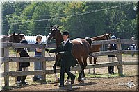 4H-1st-Show-2004-0389.jpg