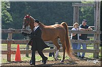 4H-1st-Show-2004-0392.jpg