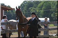 4H-1st-Show-2004-0393.jpg