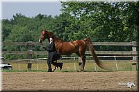 4H-1st-Show-2004-0394.jpg