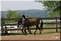 4H-1st-Show-2004-0400.jpg