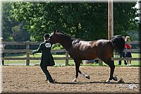 4H-1st-Show-2004-0404.jpg