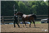 4H-1st-Show-2004-0405.jpg