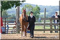 4H-1st-Show-2004-0411.jpg