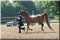 4H-1st-Show-2004-0413.jpg