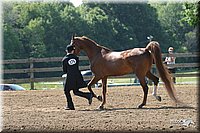 4H-1st-Show-2004-0414.jpg