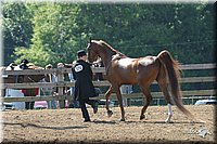 4H-1st-Show-2004-0415.jpg