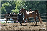 4H-1st-Show-2004-0416.jpg