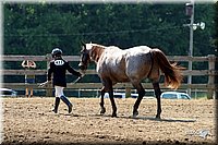 4H-1st-Show-2004-0428.jpg