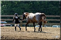 4H-1st-Show-2004-0429.jpg