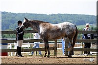 4H-1st-Show-2004-0434.jpg