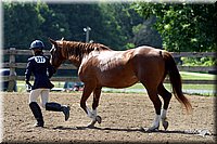 4H-1st-Show-2004-0437.jpg