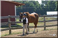 4H-1st-Show-2004-0440.jpg