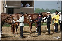 4H-2nd-Show-2004-0322.jpg