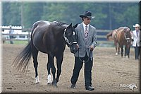 4H-2nd-Show-2004-0335.jpg