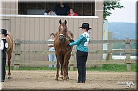 4H-2nd-Show-2004-0343.jpg