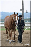 4H-2nd-Show-2004-0345.jpg
