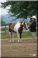 4H-2nd-Show-2004-0382.jpg