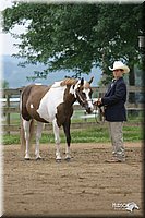 4H-2nd-Show-2004-0383.jpg