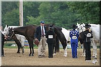 4H-2nd-Show-2004-0418.jpg