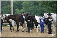 4H-2nd-Show-2004-0419.jpg