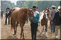 4H-2nd-Show-2004-0426.jpg