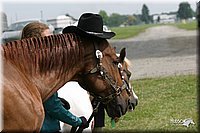 4H-2nd-Show-2004-0430.jpg