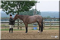 4H-2nd-Show-2004-0431.jpg