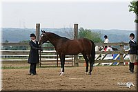 4H-2nd-Show-2004-0432.jpg