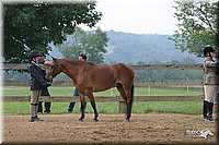 4H-2nd-Show-2004-0434.jpg