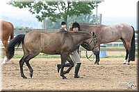 4H-2nd-Show-2004-0439.jpg