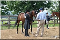 4H-2nd-Show-2004-0448.jpg