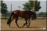 4H-2nd-Show-2004-0451.jpg