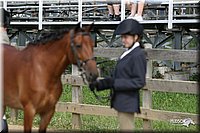 4H-2nd-Show-2004-0453.jpg