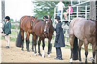 4H-2nd-Show-2004-0457.jpg