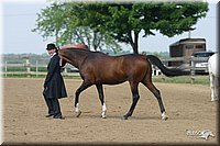 4H-2nd-Show-2004-0459.jpg