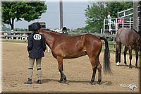 4H-2nd-Show-2004-0460.jpg