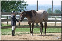 4H-2nd-Show-2004-0478.jpg