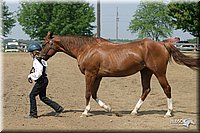 4H-2nd-Show-2004-0486.jpg