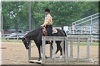 4H-2nd-Show-2004-0668.jpg