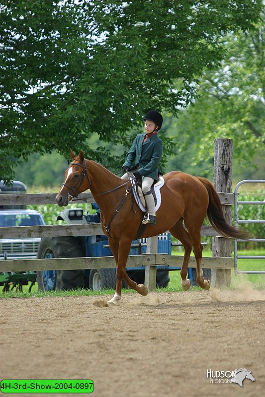 4H-3rd-Show-2004-0897.jpg