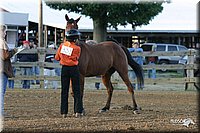 4H-3rd-Show-2004-0043.jpg