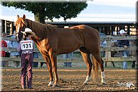 4H-3rd-Show-2004-0046.jpg